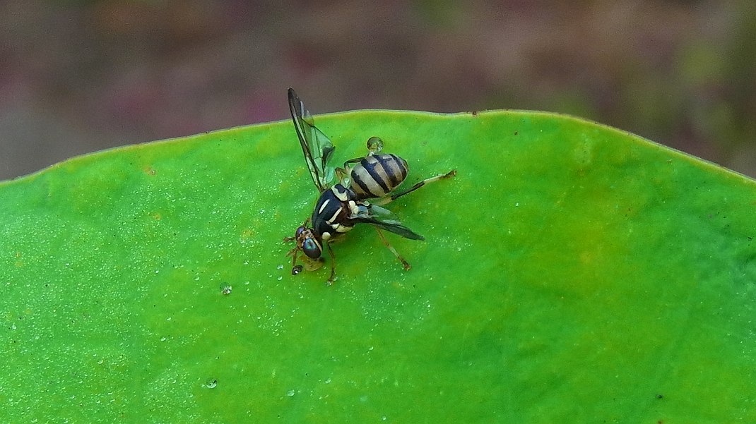 a0152692_18325421.jpg