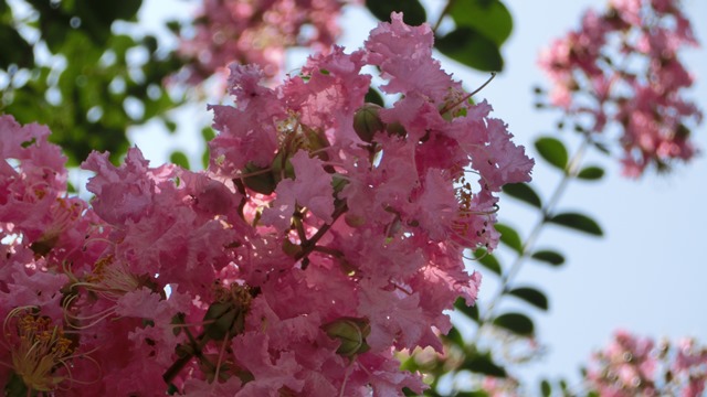 d0181492_9153819.jpg