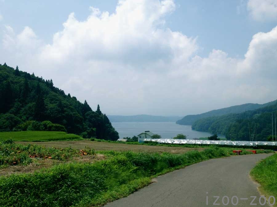 菅川ってこんなトコ_c0223095_2317586.jpg