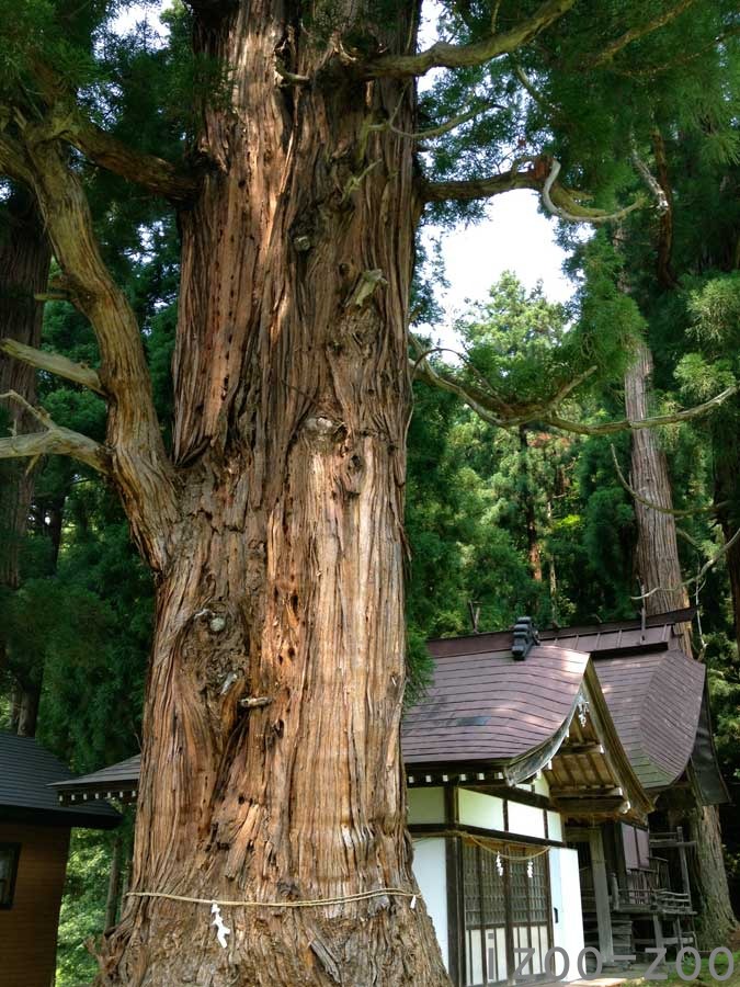 菅川ってこんなトコ_c0223095_23274353.jpg
