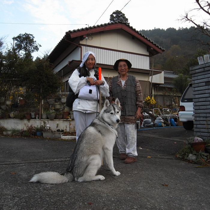 Memory of the second pilgrimage with husky HANA_c0049299_15463034.jpg