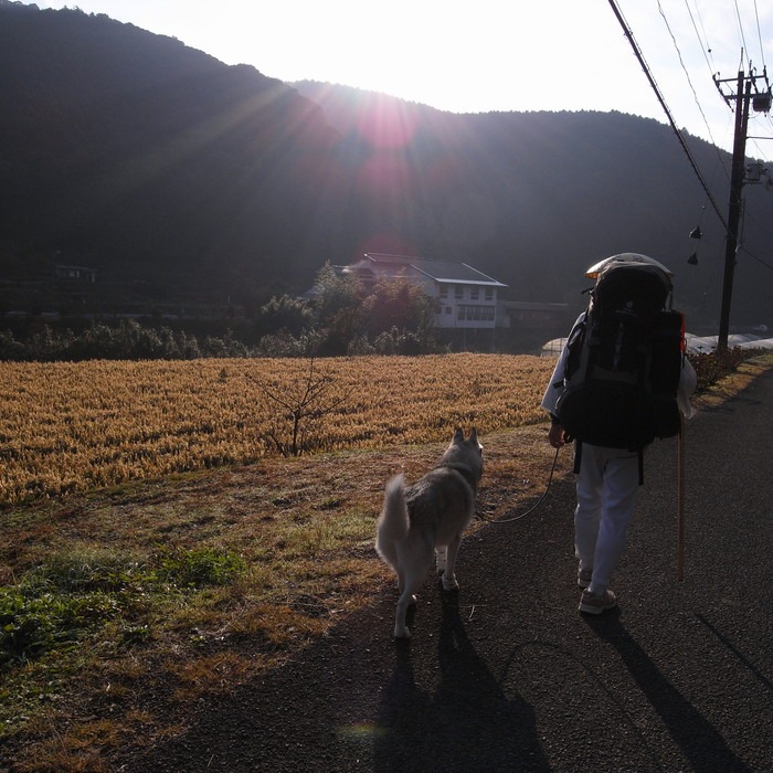 Memory of the second pilgrimage with husky HANA_c0049299_15513425.jpg