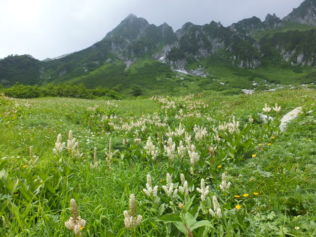 a0271502_1649822.jpg