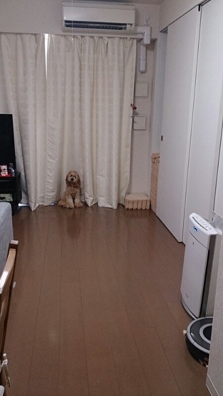 c0294716_4224164.jpg