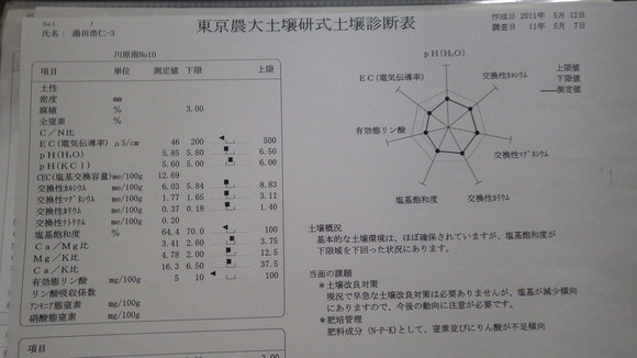 PH矯正総集編!_a0256619_9351517.jpg