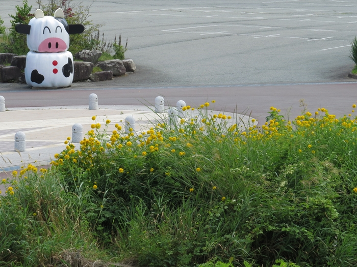 ＪＲ鉄道最高地点で小海線を観る　2013/8/13    in Tokyo_d0129921_22442096.jpg