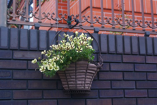 f0170524_22162537.jpg