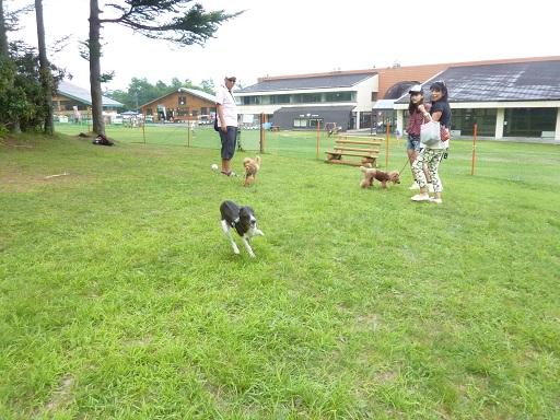 草津温泉日本の名湯　上毛かるたより_a0230928_2104678.jpg