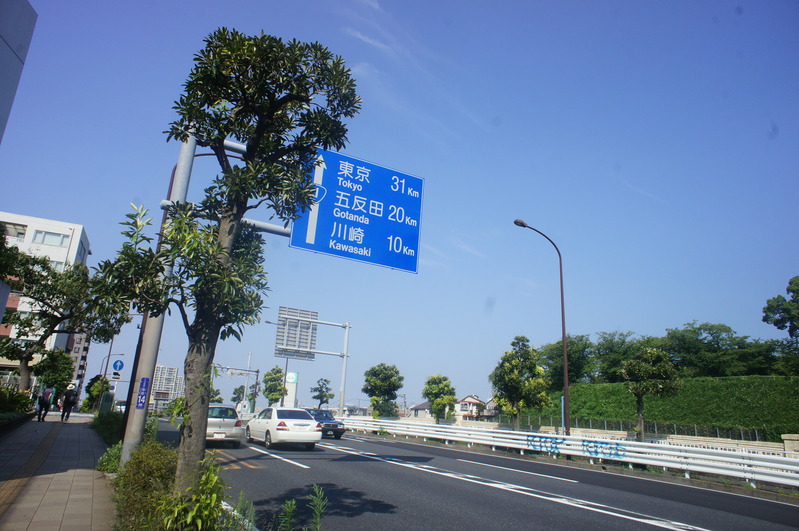 a0217029_22355329.jpg