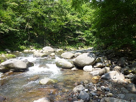 e0198329_94018.jpg