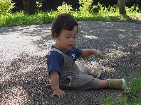 日本昭和村_c0077531_16522345.jpg