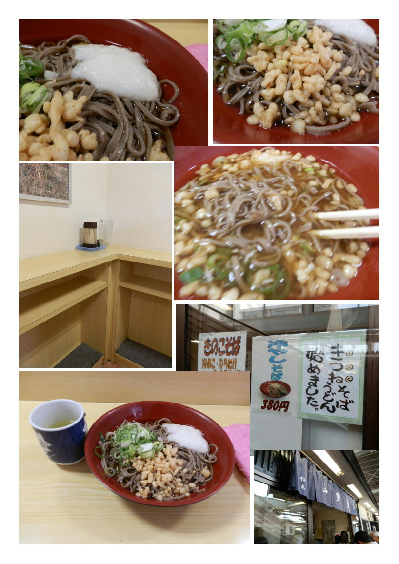 今度は長野での仕事 その途中 松本駅で時間調整 立ち蕎麦 山野草 の信州蕎麦を賞味 中年夫婦の外食 今度は長野での仕事 その途中 松本駅で時間調整 立ち蕎麦 山野草 の信州蕎麦を賞味 中年夫婦の外食