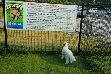 c0236632_84158.jpg