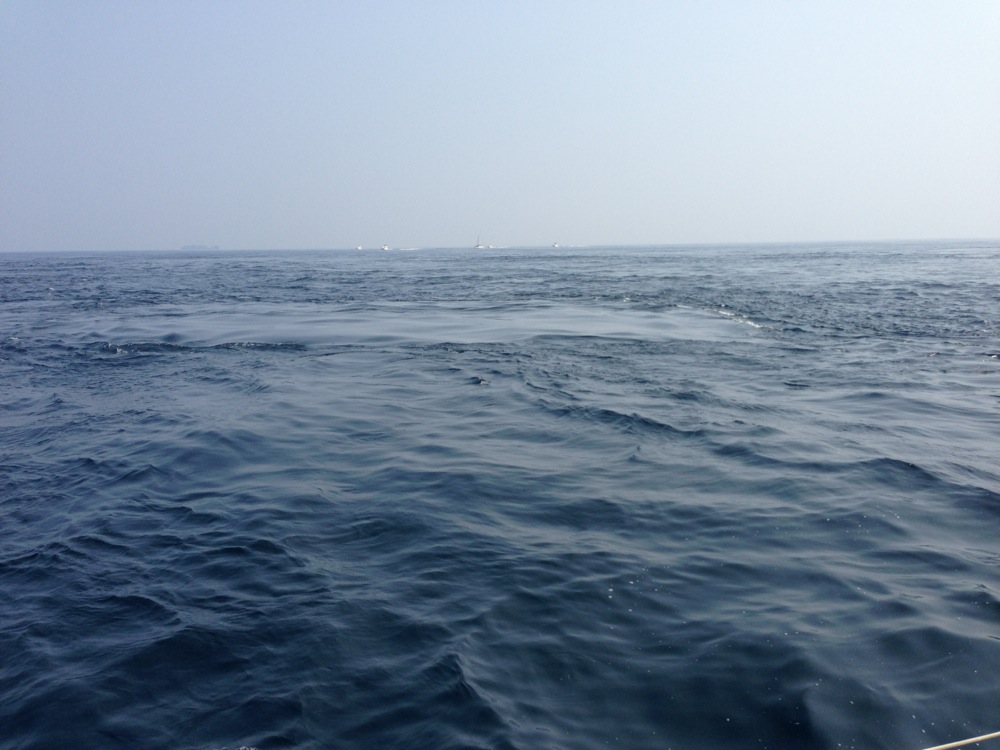 f0209434_23077.jpg