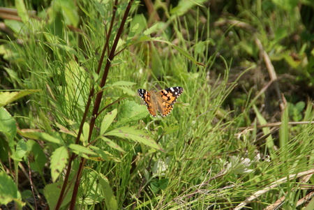 f0295836_25239.jpg