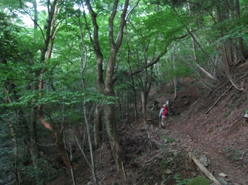 夏山で思いっきり汗をかきたい②　祖母山（１７５６ｍ）_c0077338_7453395.jpg