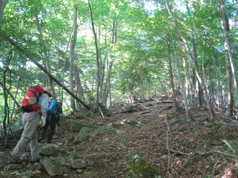 夏山で思いっきり汗をかきたい②　祖母山（１７５６ｍ）_c0077338_74613.jpg