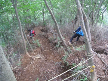 夏山で思いっきり汗をかきたい②　祖母山（１７５６ｍ）_c0077338_7465018.jpg