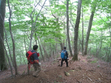 夏山で思いっきり汗をかきたい②　祖母山（１７５６ｍ）_c0077338_747590.jpg