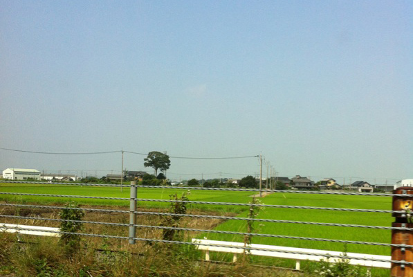 c0090139_740258.jpg