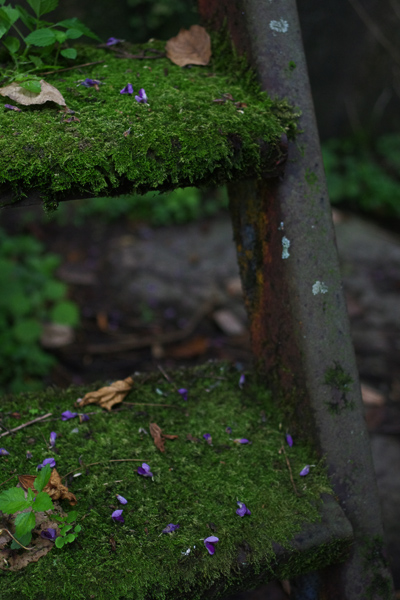 c0090139_7411635.jpg