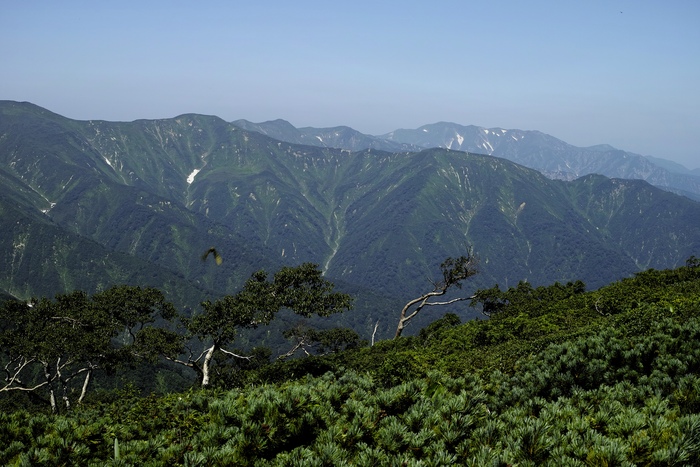 d0237340_1144314.jpg