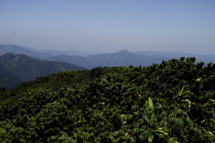 d0237340_11461226.jpg