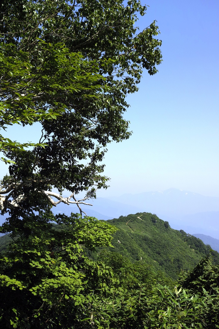 d0237340_20305793.jpg