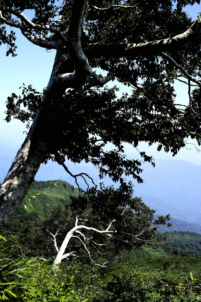 d0237340_20362592.jpg