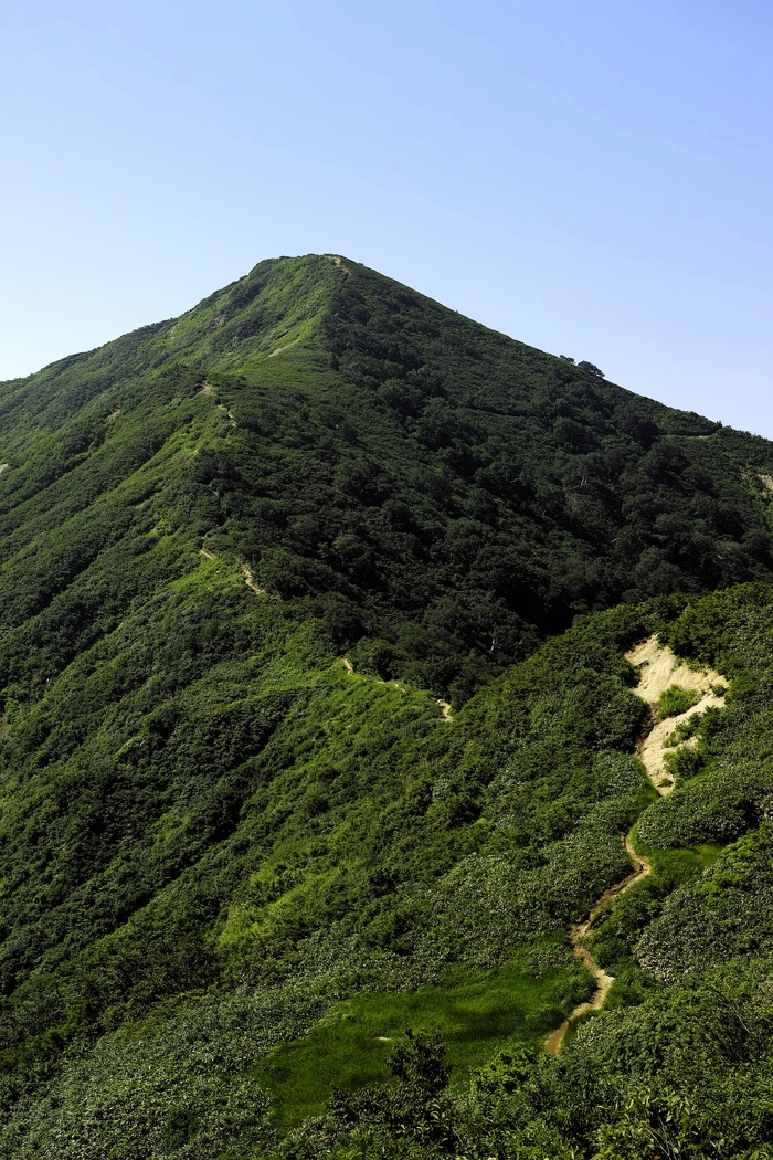 d0237340_7362846.jpg
