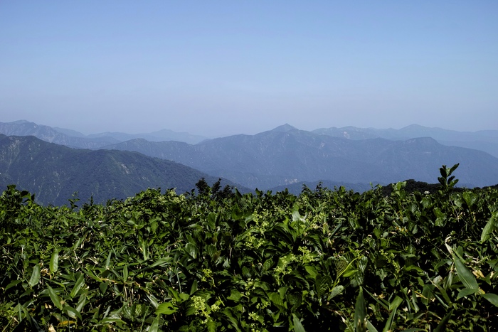 d0237340_7471637.jpg