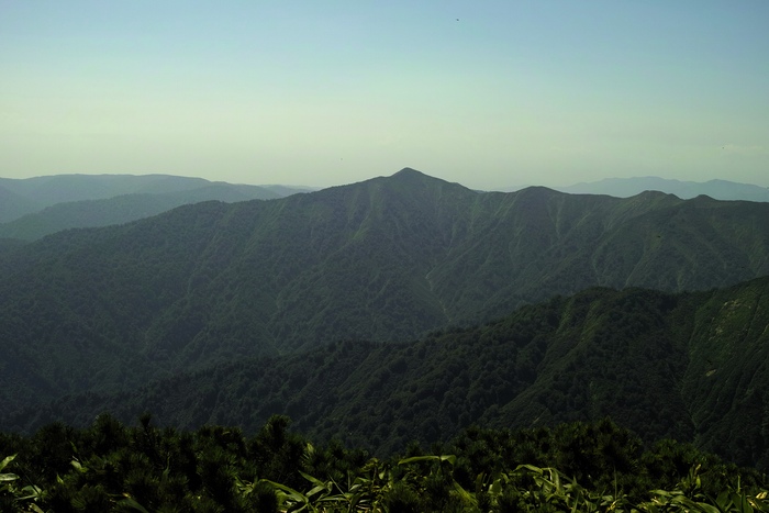 d0237340_7482136.jpg