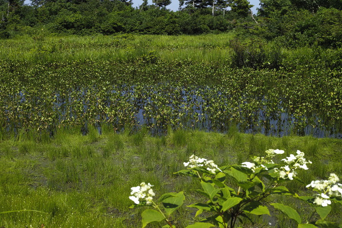 d0237340_9324115.jpg