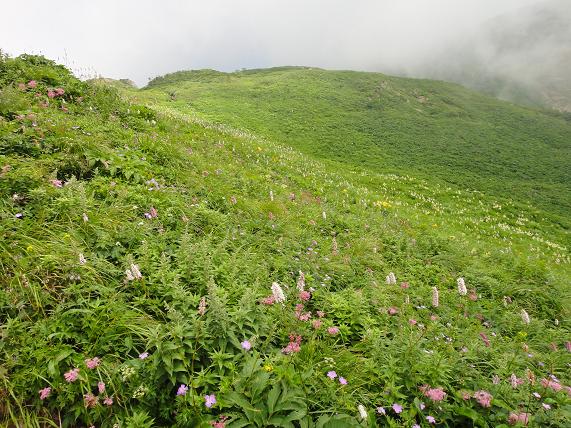 夏山遠征～白山へ②_e0164643_13133122.jpg