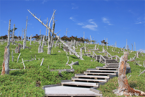 c0127748_2031735.jpg