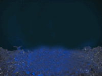 e0005548_20235195.gif