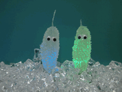 e0005548_551493.gif