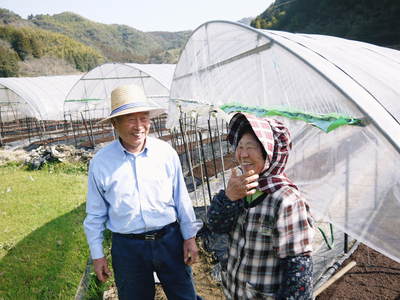 アスパラ “朝採り”アスパラがやっぱ、うまかもんなぁ!!_a0254656_1712951.jpg