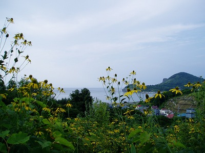 e0218557_21374336.jpg