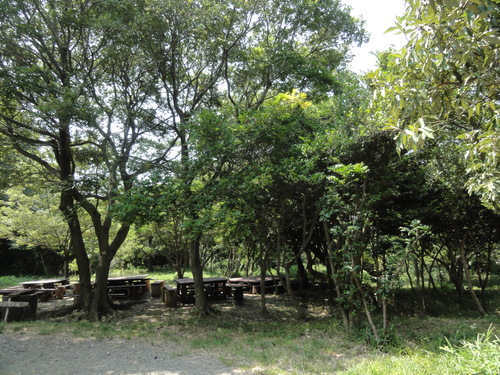 c0108460_1548731.jpg