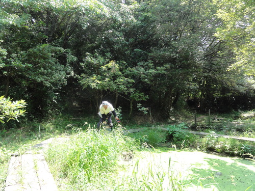 c0108460_15505680.jpg