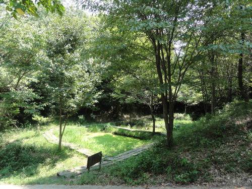 c0108460_15531433.jpg