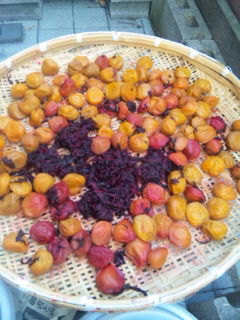 f0201360_12414558.jpg