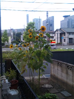 f0201360_12442492.jpg