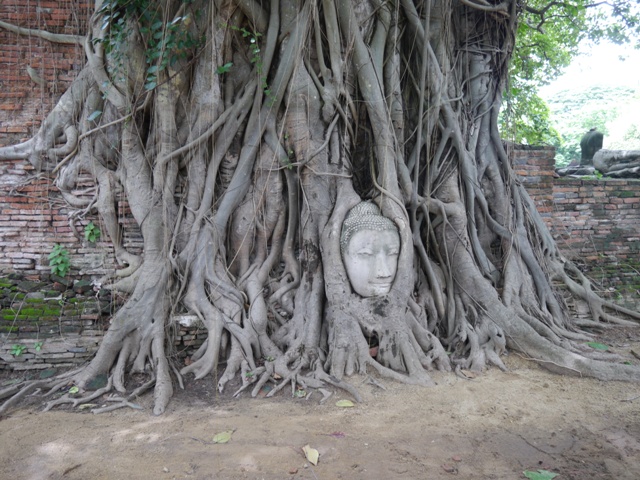 タイへ行く。⑨ ~世界遺産アユタヤ探訪~_f0232060_1426528.jpg