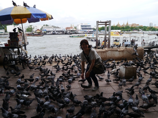 タイへ行く。⑩　～奇界遺産シリラート死体博物館～_f0232060_16484745.jpg