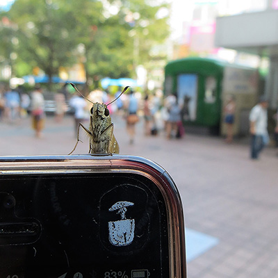 8月16日(金)の渋谷109前交差点_b0056983_1121519.jpg