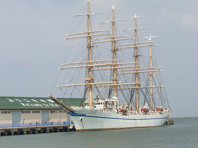 f0157901_19563676.jpg