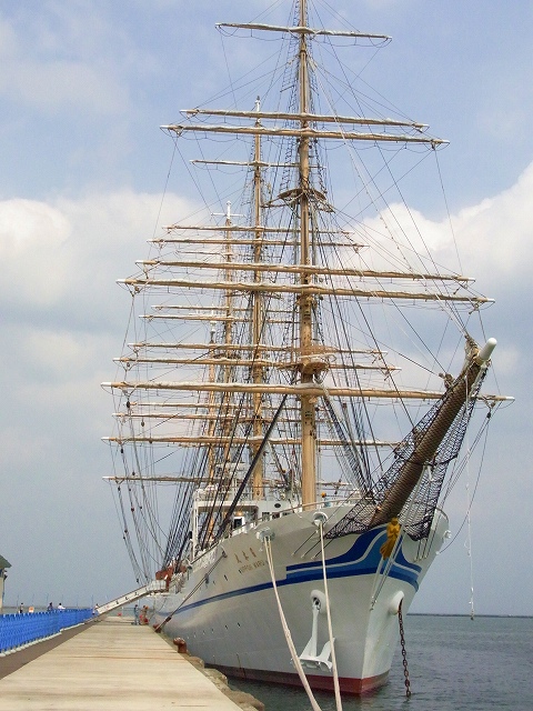 f0157901_1956543.jpg