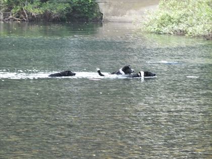 e0109702_11322294.jpg